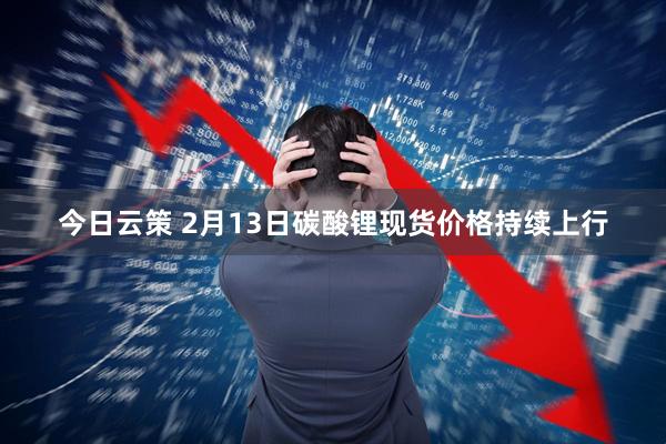 今日云策 2月13日碳酸锂现货价格持续上行